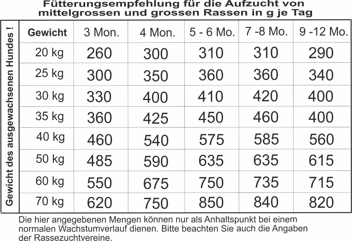 Junior, Holistic + TmK fr heranwachsende.jpg