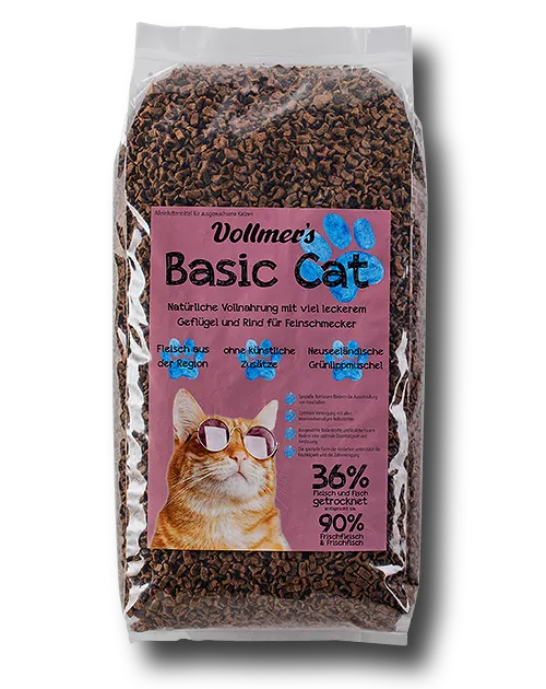 Vollmers Basic Cat 